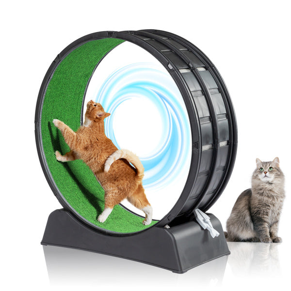 Black Plastic PP Splicing Type With Green Carpet 10kg Cat Treadmill