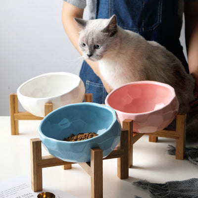 Oblique Mouth Pet Bowl Cat & Dog Food Feeding Bowl