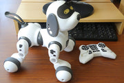 https://domiclv.com › products › intelligent-remote-control-robot-dog

