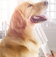 https://domiclv.com › products › pet-groomer-pet-hair-removal-brush-cat-grooming-brush-dog-cat-massage-epilator-to-remove-floating-hair-cat-hair-dog-pet-supplies

