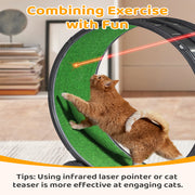 Black Plastic PP Splicing Type With Green Carpet 10kg Cat Treadmill