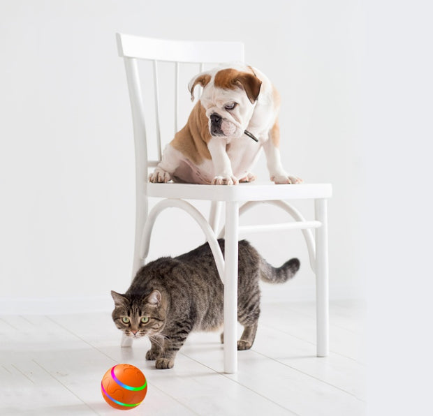 https://domiclv.com › products › pet-new-cat-wicked-ball-toy-intelligent-ball-usb-cat-toys-self-rotating-ball-automatic-rotation-ball

