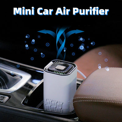 https://domiclv.com › products › car-air-purifier-portable-negative-ion-generator-remove-formaldehyde-dust-smoke-air-freshen-washer-for-home-car

